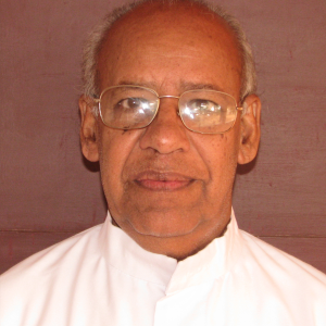 Fr. Francis Vineeth Vadakethala CMI